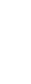 0,33 л